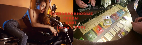apvp Белоозёрский