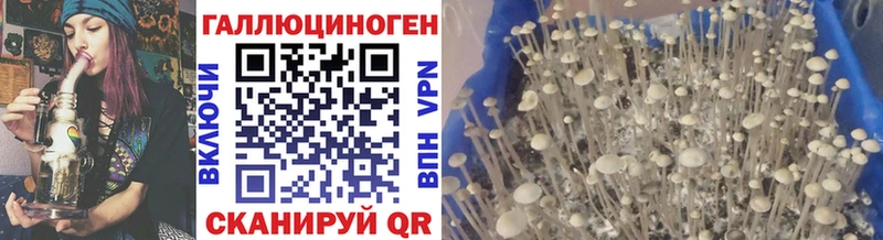 Галлюциногенные грибы мухоморы  Юрьевец 